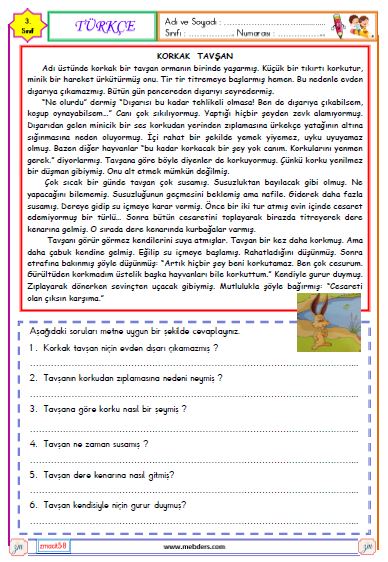 3. Sınıf Türkçe Okuma ve Anlama Metni Etkinliği ( Korkak Tavşan )